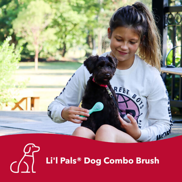 Lil Pals  Dog Combo Brush