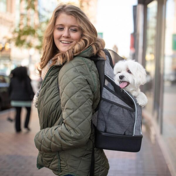 Bergan  Backpack Pet Carrier