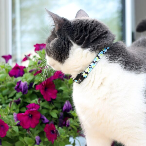 Safe Cat  Morris Animal Foundation Adjustable Breakaway Collar