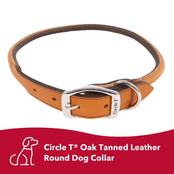 Circle T  Oak Tanned Leather Round Dog Collar