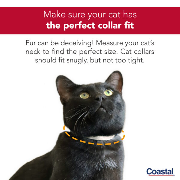 New Earth  Soy Adjustable Breakaway Cat Collar