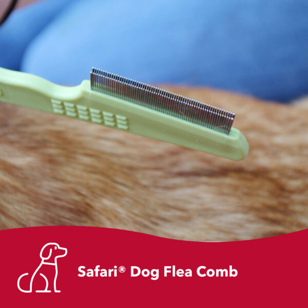Safari  by Coastal  Dog Double Row Flea Comb