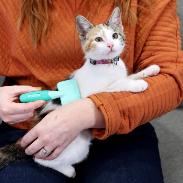 Lil Pals  Kitten Massage Brush